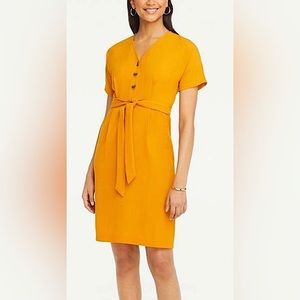 Ann Taylor Summer Dress